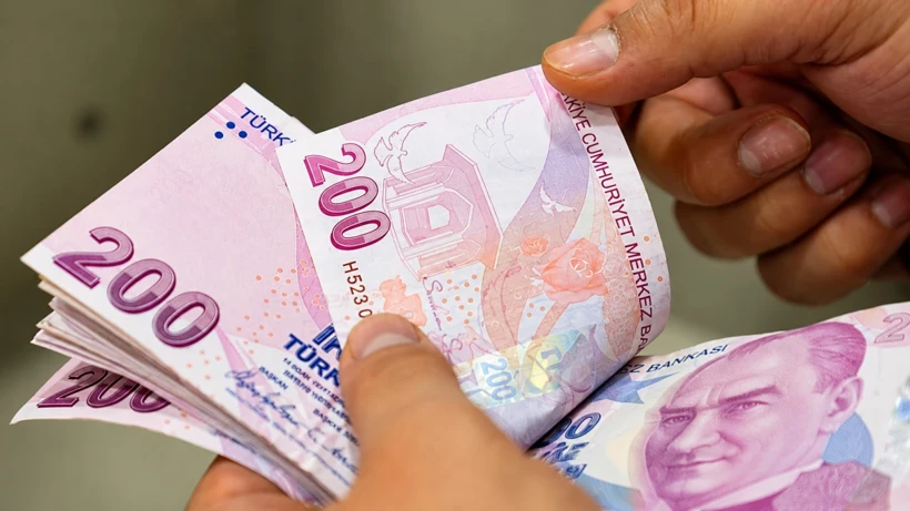 Yeni Sosyal Yardım Modeli: Vatandaşlık Maaşı Başvuruları Başlıyor